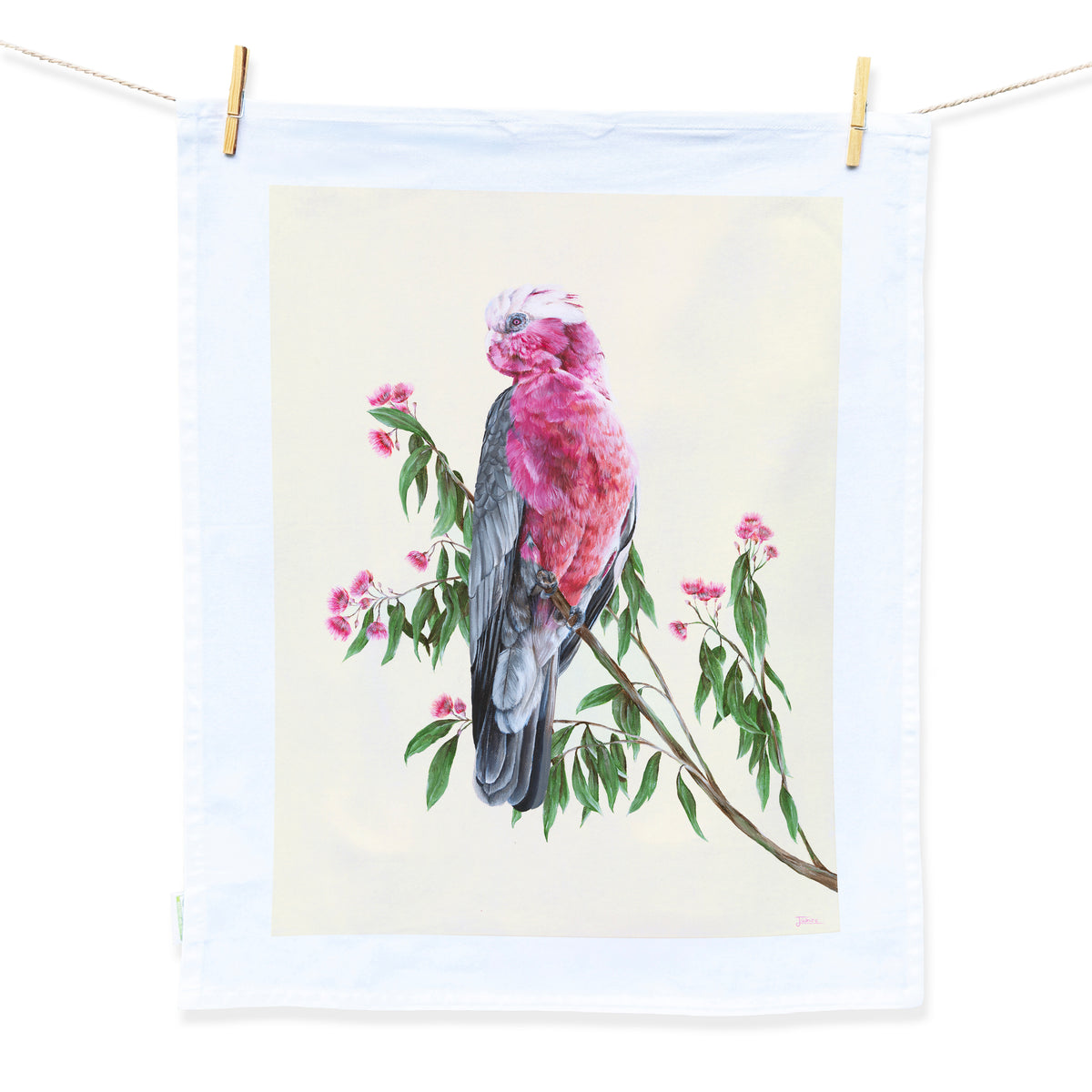 A tea towel design hand painted by Australian Artist Jessica Alpert of a pink Australian Galah perched on a brand of Australian gum leaves and pink flowering gum flowers against a a soft yellow background with a white border.
