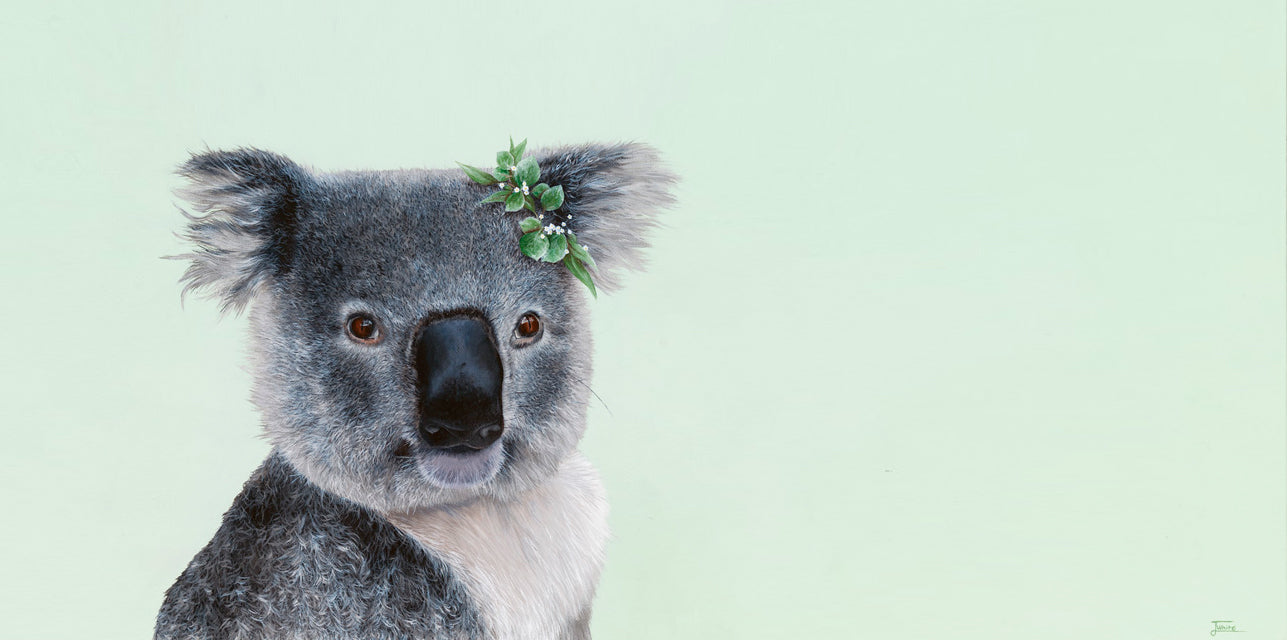 An original acrylic painting of a cute fluffy koala set against a soft green background by Australian Artist Jessica Alpert.