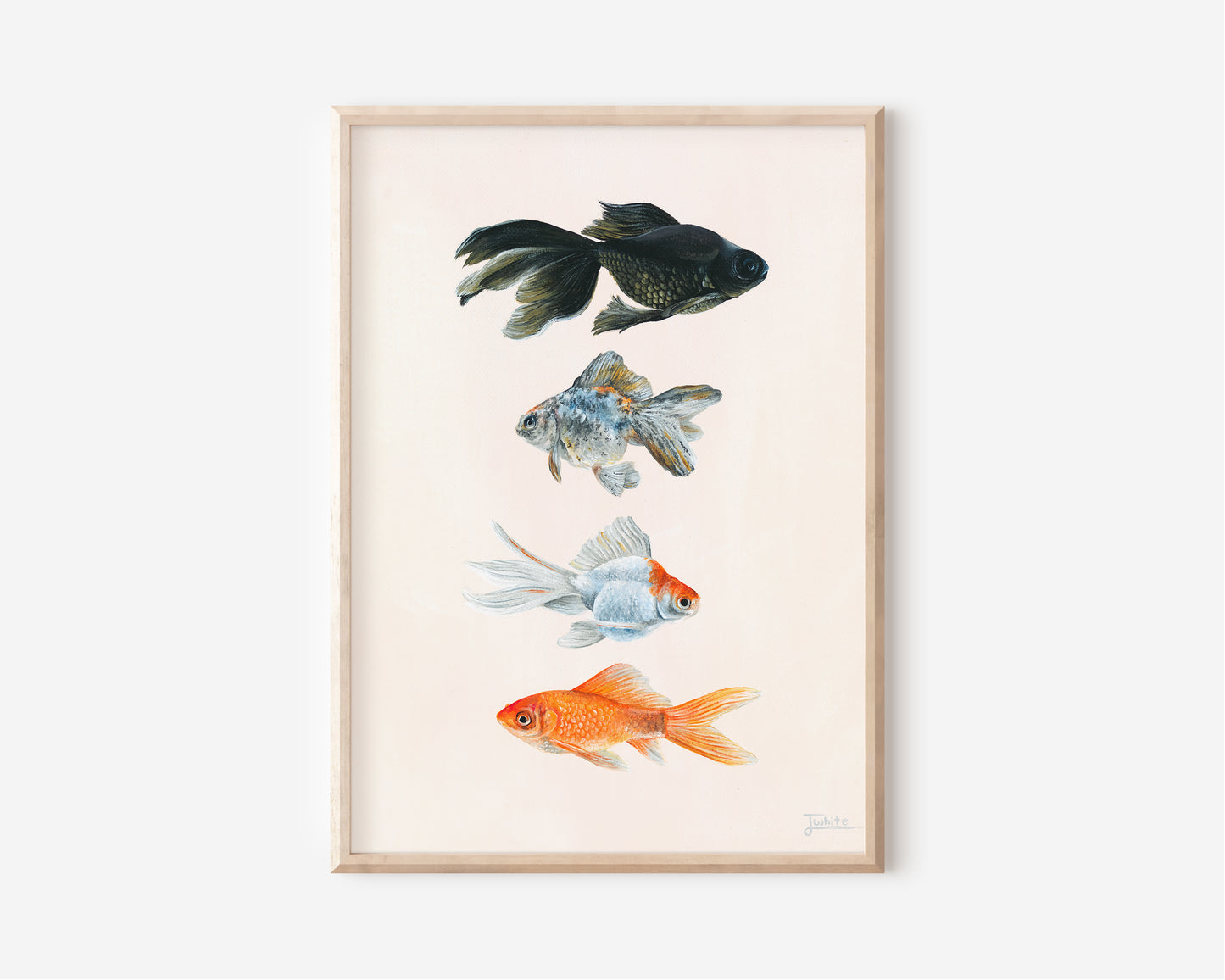 A Fine Art Print hand painted by Australian Artist Jessica Alpert of four detailed goldfish ranging in colours from back, grey, white and orange, aligned vertically and against a soft cream background colour. 