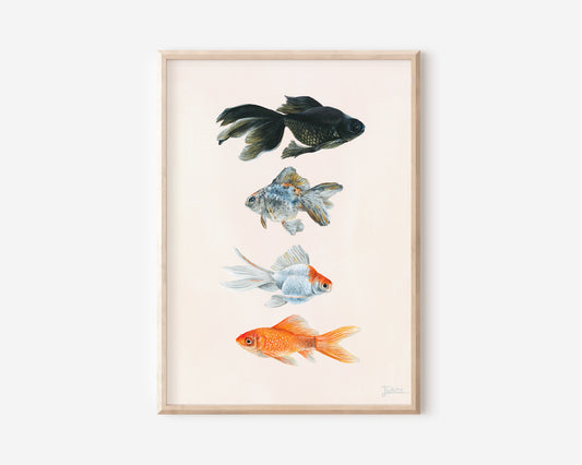 A Fine Art Print hand painted by Australian Artist Jessica Alpert of four detailed goldfish ranging in colours from back, grey, white and orange, aligned vertically and against a soft cream background colour. 