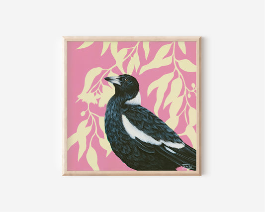 Fine Art Print by Australian Artist Jessica Alpert of a black and white Magpie bird looking out peacefully perched against a vibrant pink background with a soft yellow silhouette of Australian Gum leaves and flowers.
