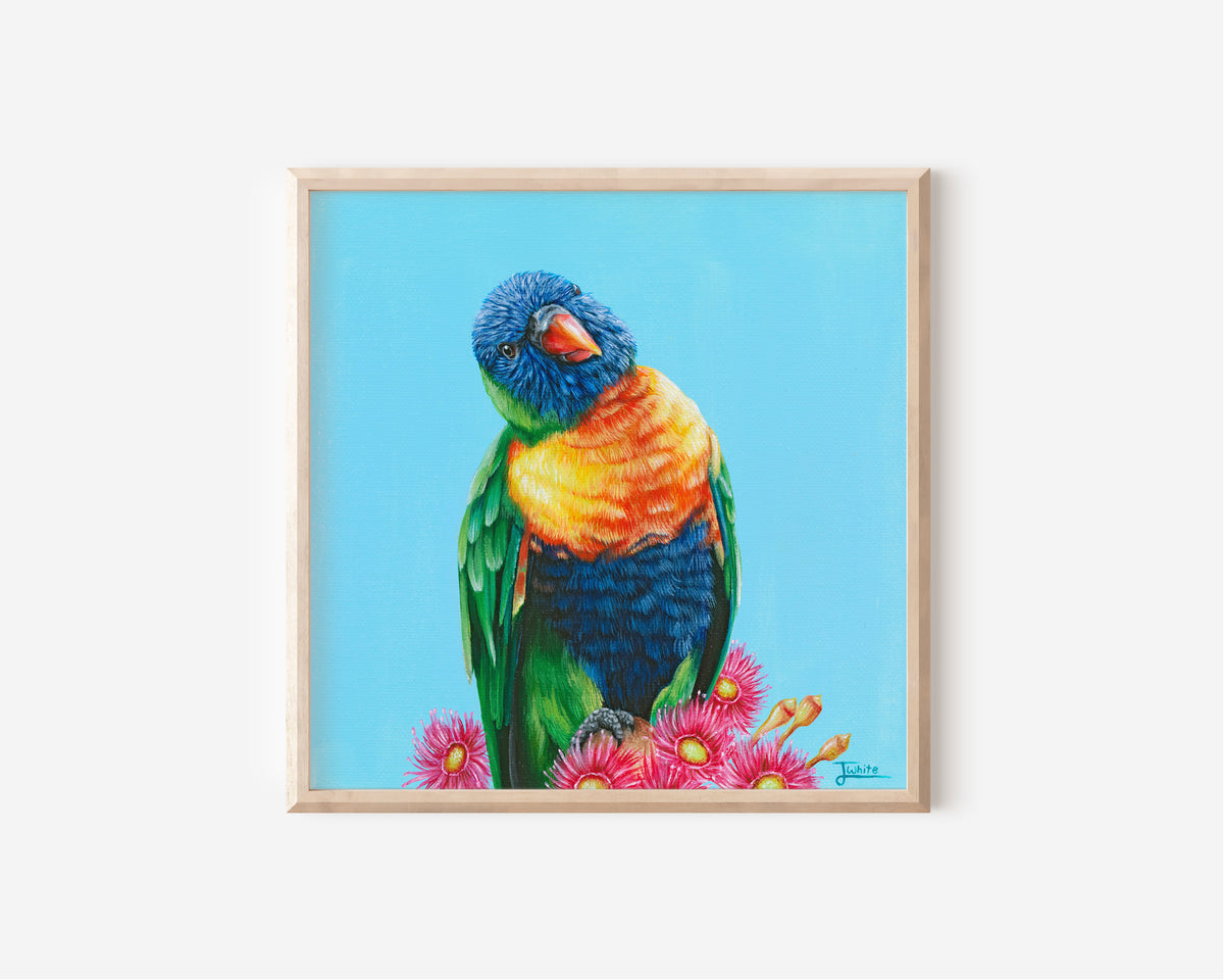 Fine Art Print by Australian Artist Jessica Alpert of a colourful Rainbow Lorikeet on a vibrant blue background perched amongst  vibrant pink flowering gum.