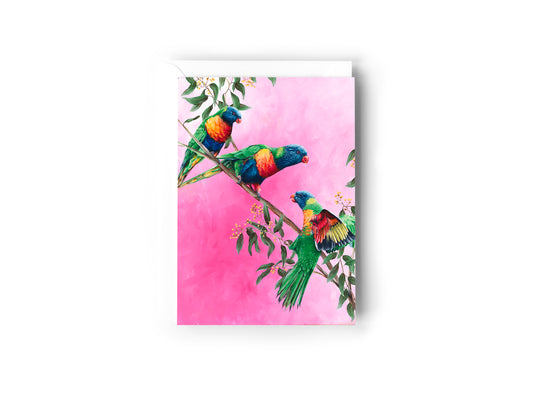 A greeting card design hand painted by Australian Artist Jessica Alpert, of three colourful Rainbow Lorikeet birds perched on a branch of Australian golden wattle against a hot pink textured background. The card has a white envelope behind it and sits on a white background.