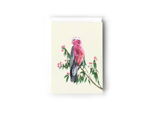 A greeting card design hand painted by Australian Artist Jessica Alpert, of a pink Australian Galah perched on a branch of gum leaves and pink flowering gum, looking out peacefully over a soft yellow background. The card has a white envelope behind it and sits on a white background.