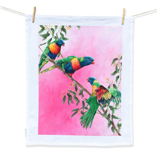 A tea towel design hand painted by Australian Artist Jessica Alpert of three colourful rainbow lorikeet birds perched on an Australian wattle branch against a vibrant hot pink textured background with a thick white border.