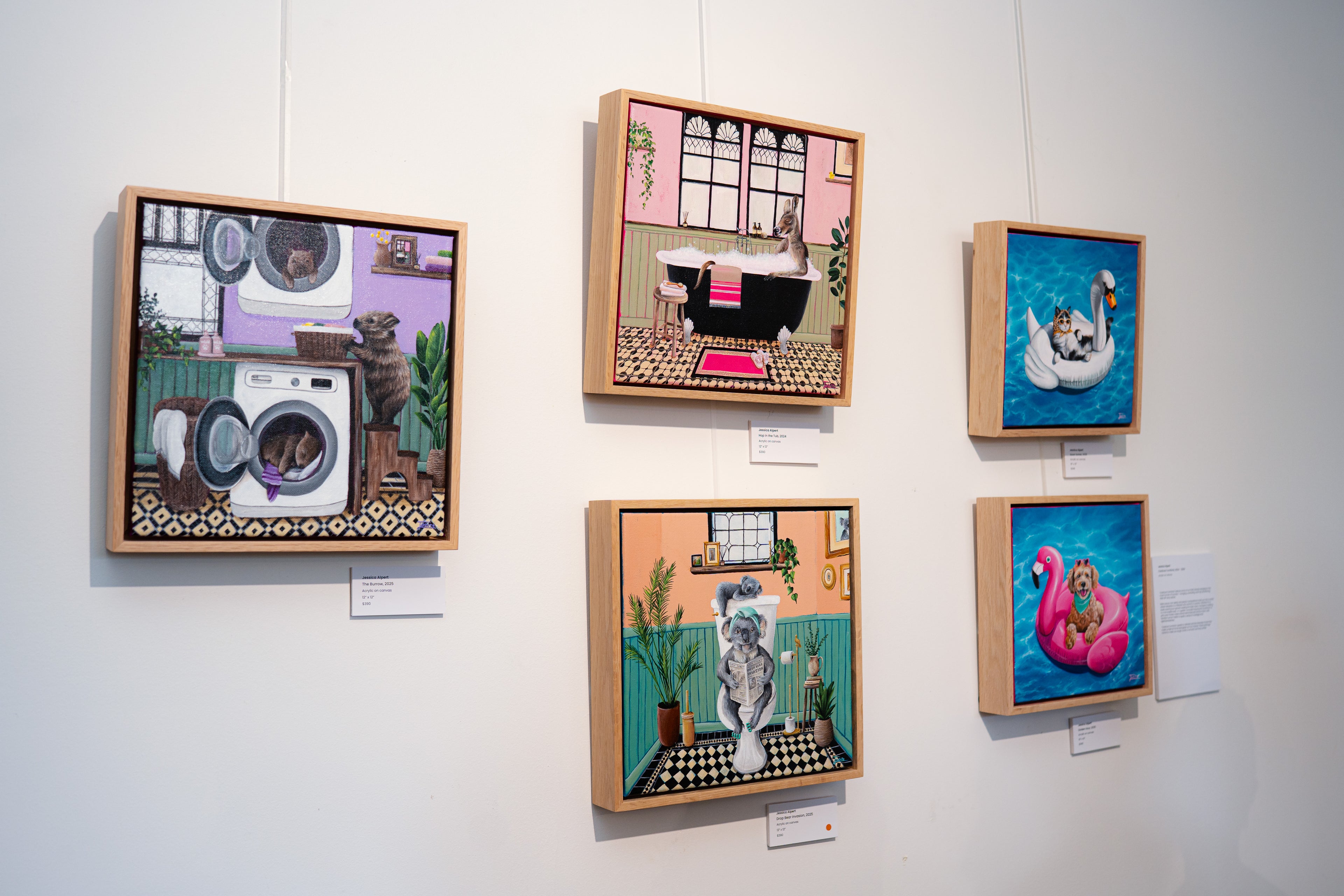 Five framed artworks by Jessica Alpert hanging on the wall of her 'Wild Whimsy' exhibition. The five paintings are from her 'Creature Comforts collection', depicting different scenes of Australian animals lounging in quirky human environments. Each painting is detailed, colourful and fun depicting Jessica's unique style.